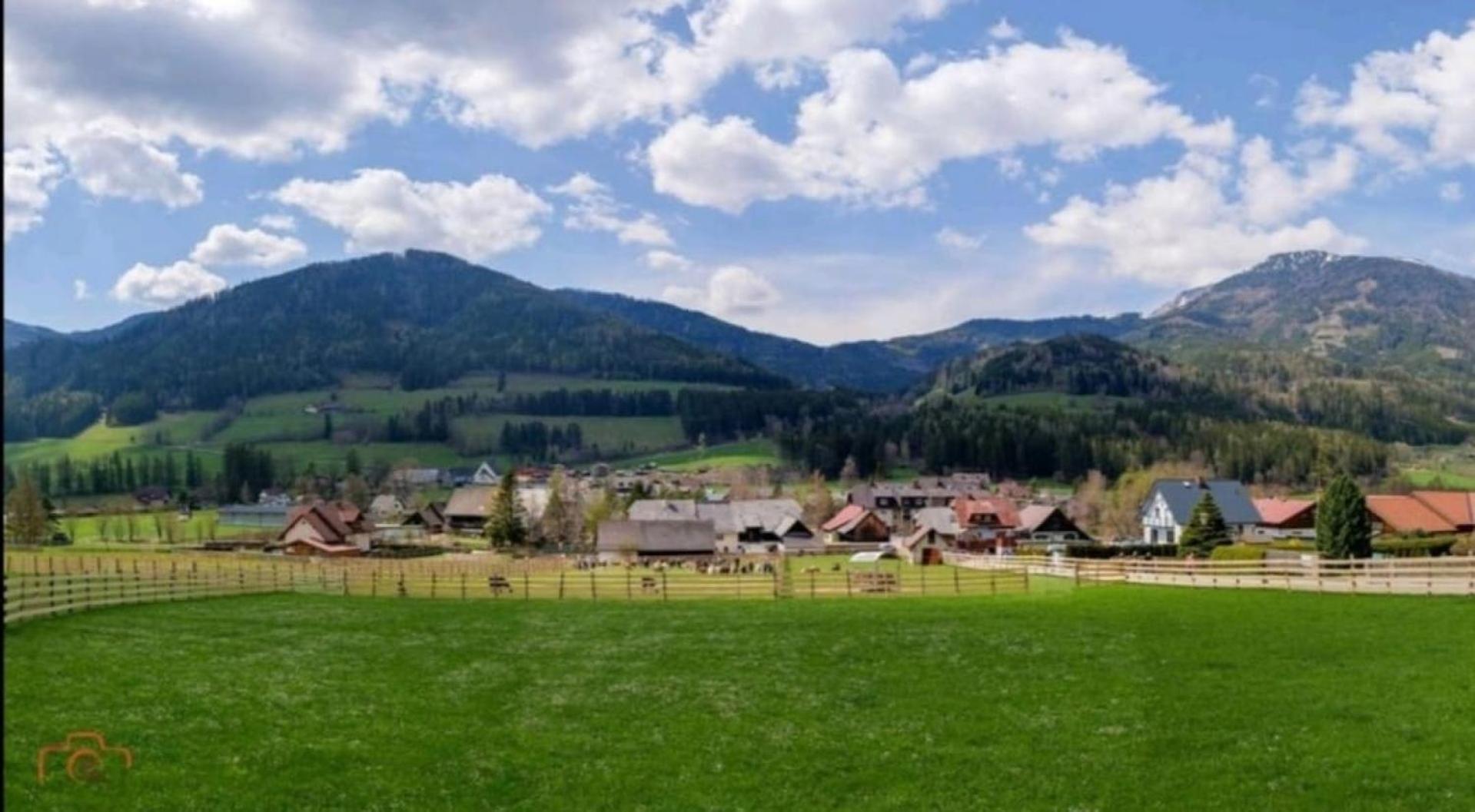 Alpakas, Lamas Und Rentiere Zum Gruenen See Grossdorf  Kültér fotó