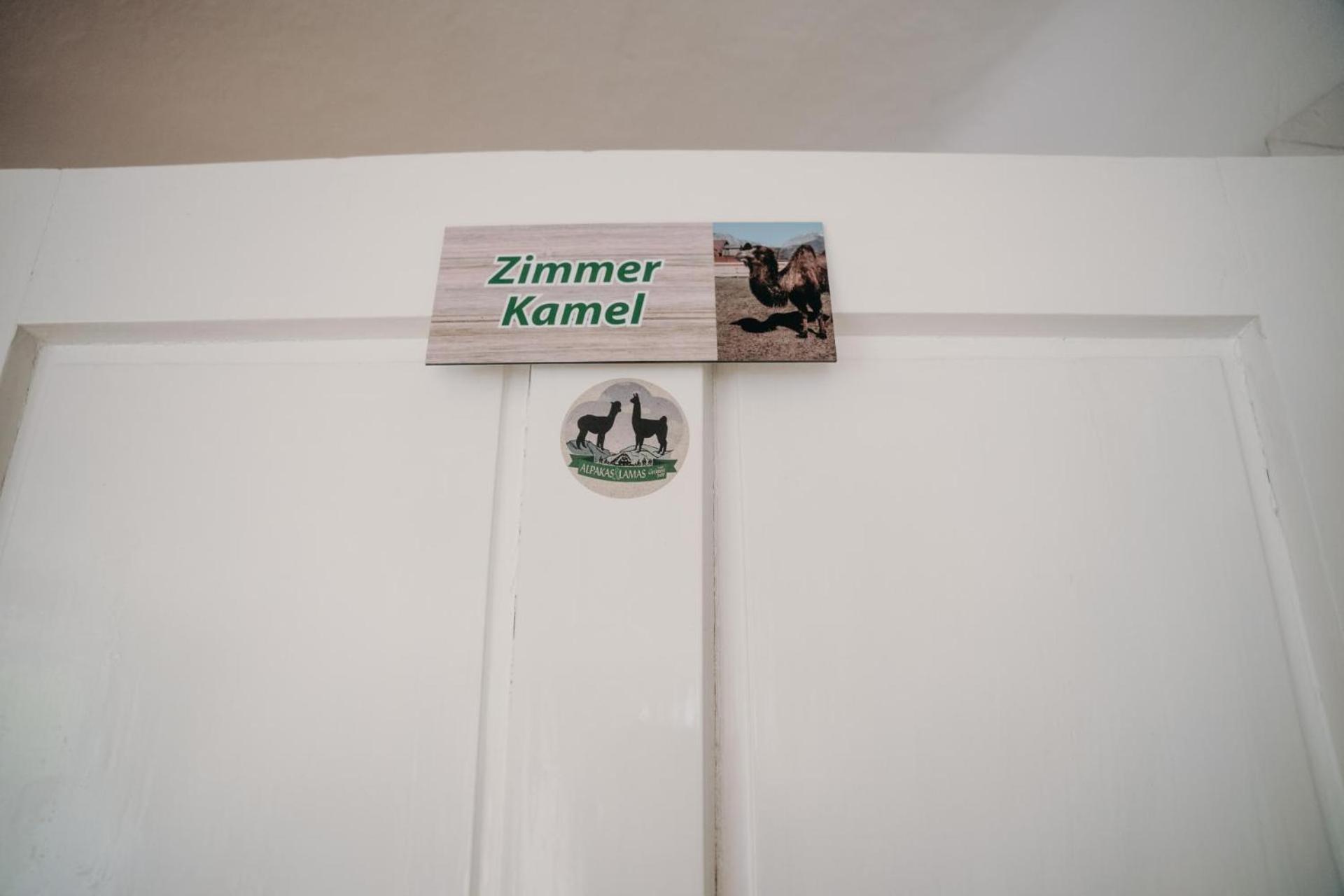 Alpakas, Lamas Und Rentiere Zum Gruenen See Grossdorf  Kültér fotó