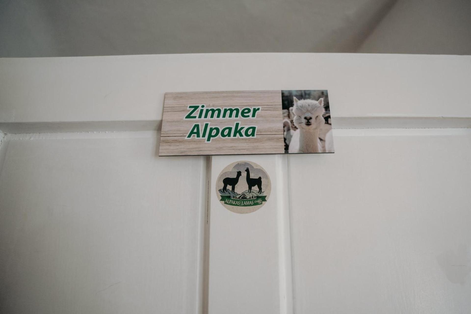 Alpakas, Lamas Und Rentiere Zum Gruenen See Grossdorf  Kültér fotó